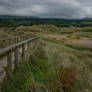 Threatened dunes