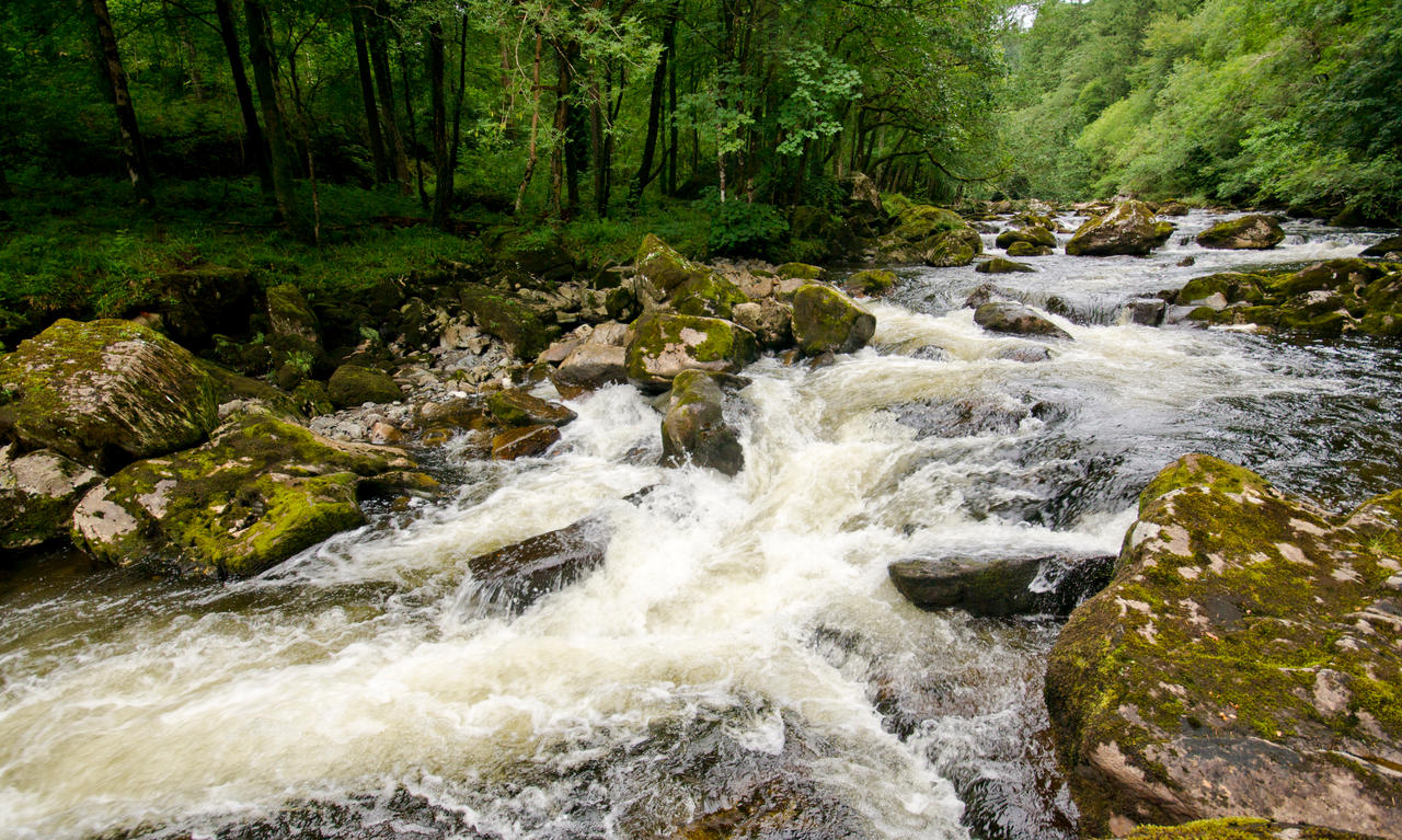 Swallow falls 30