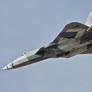 Sukhoi T-50 PAK-FA