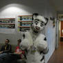 Midfur 2012: Blake