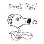 Shoot Me