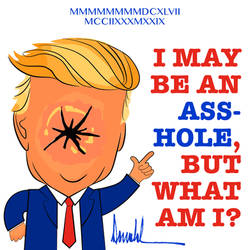 The Real Trump Hole