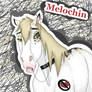 Melochin