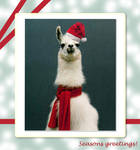 Llama Christmas by EmperorLlama