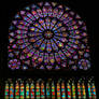 Stained glass in The Notre Dame Paris