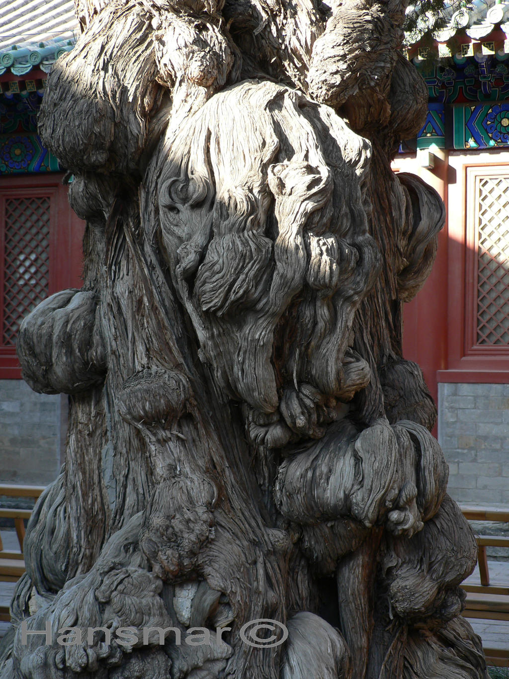 Old Chinese tree details by Hansmar on DeviantArt