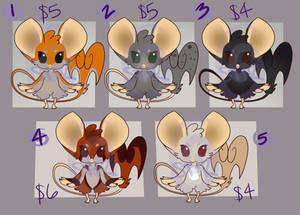 BIRBIL ADOPTABLES Normal Type 4 of 5 AVAILABLE