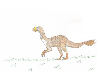 Dromicioraptor ovicavero