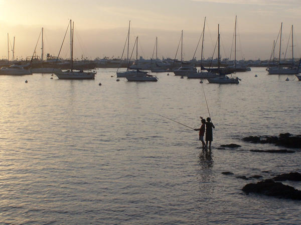 Pesca Punta del este