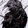 Through The Eyes Of A Raven