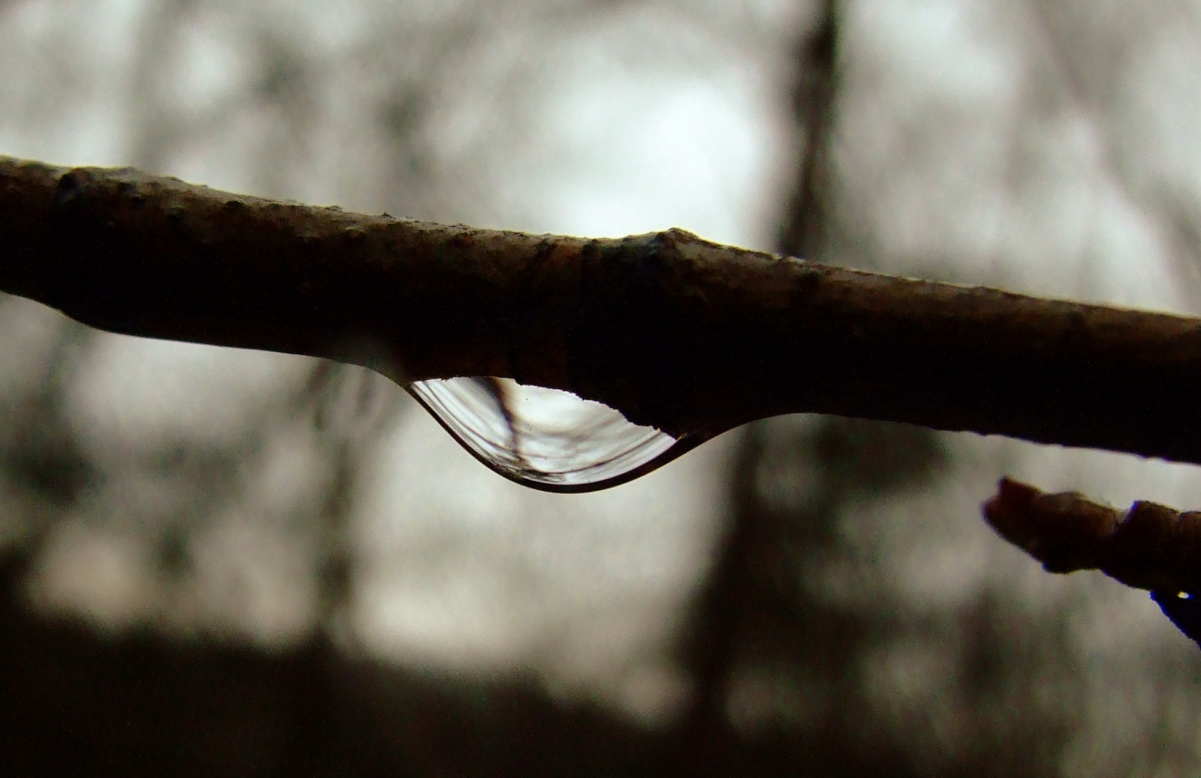 A depressive drop of water