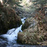 Stream in Alaska