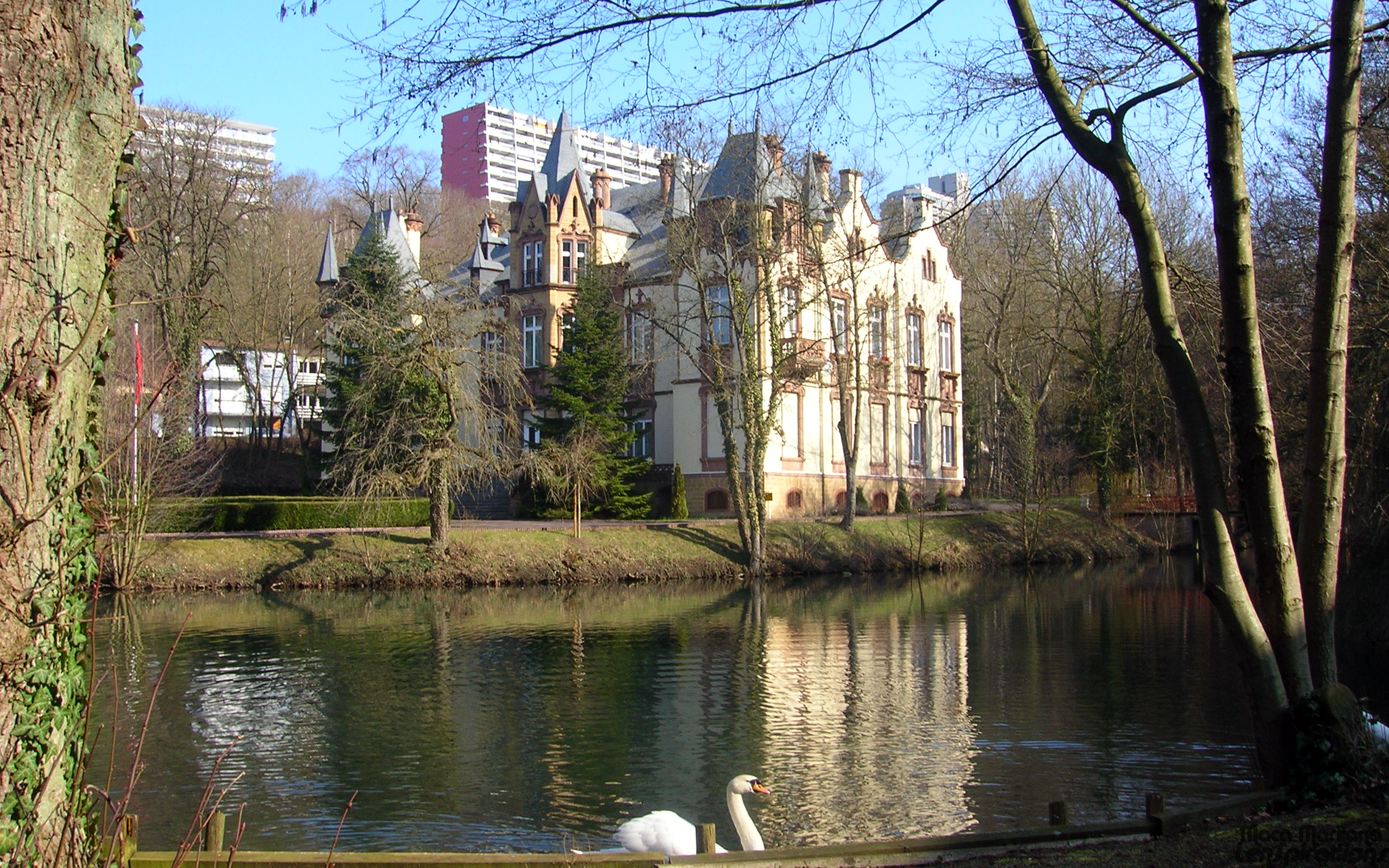 The Castle and a Swan