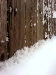 Winter fence