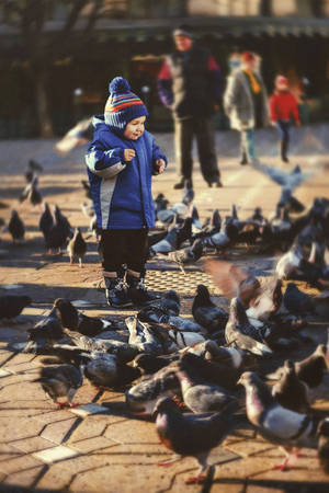 Innocence by guessforfree Innocence by guessforfree