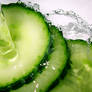 Cucumber