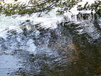 River reflections II