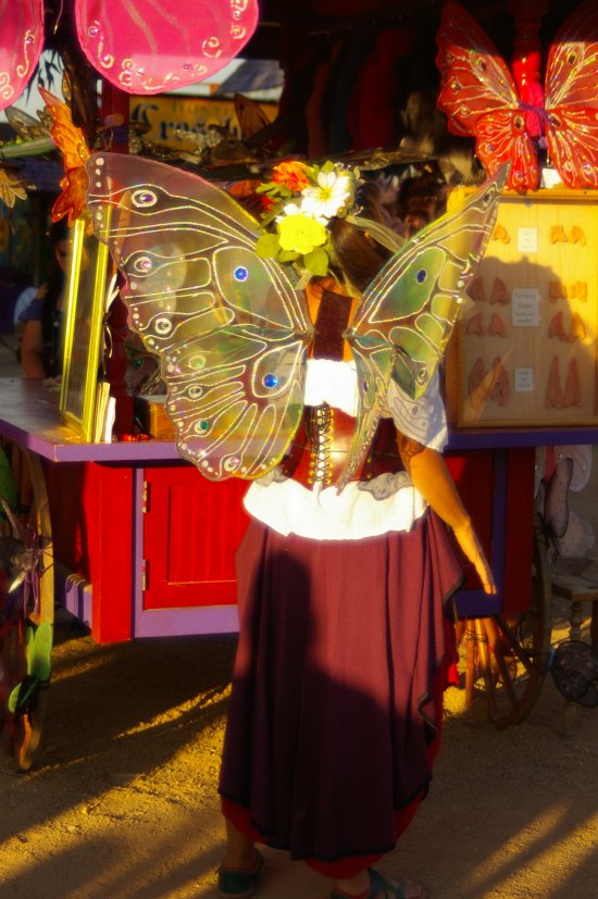 Faire: Fairy Wings