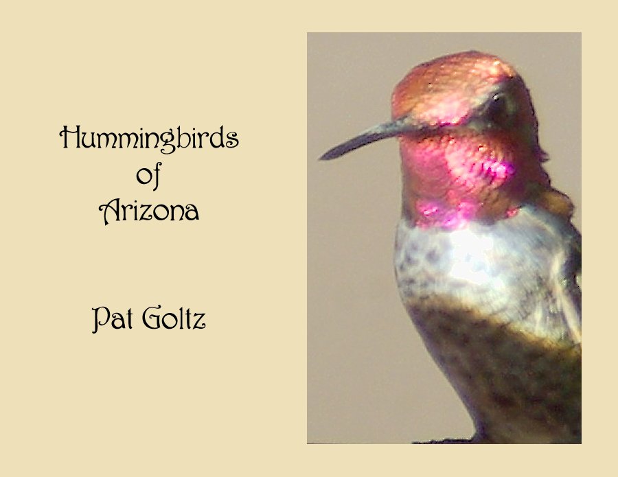 Hummingbirds of Arizona Calendar