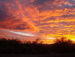 Arizona Sunset 082 by PatGoltz