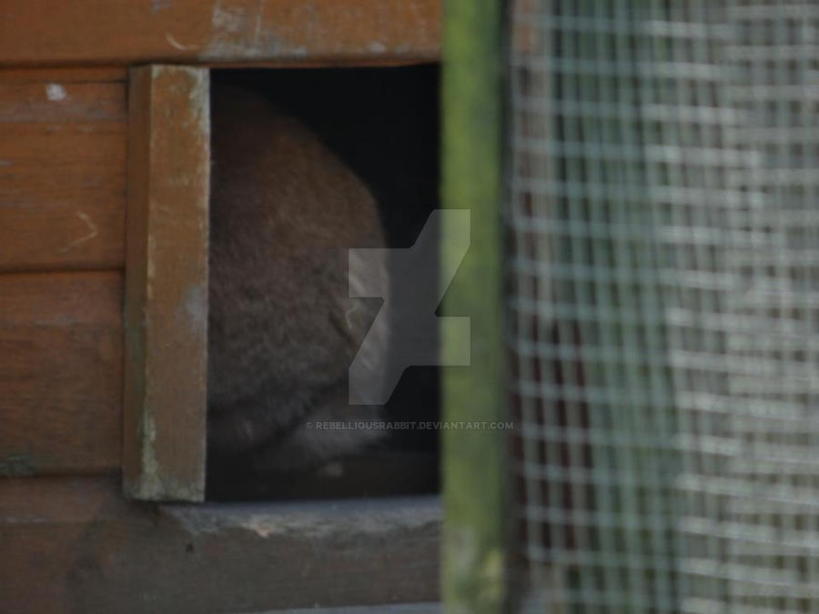 The End by RebelliousRabbit on DeviantArt