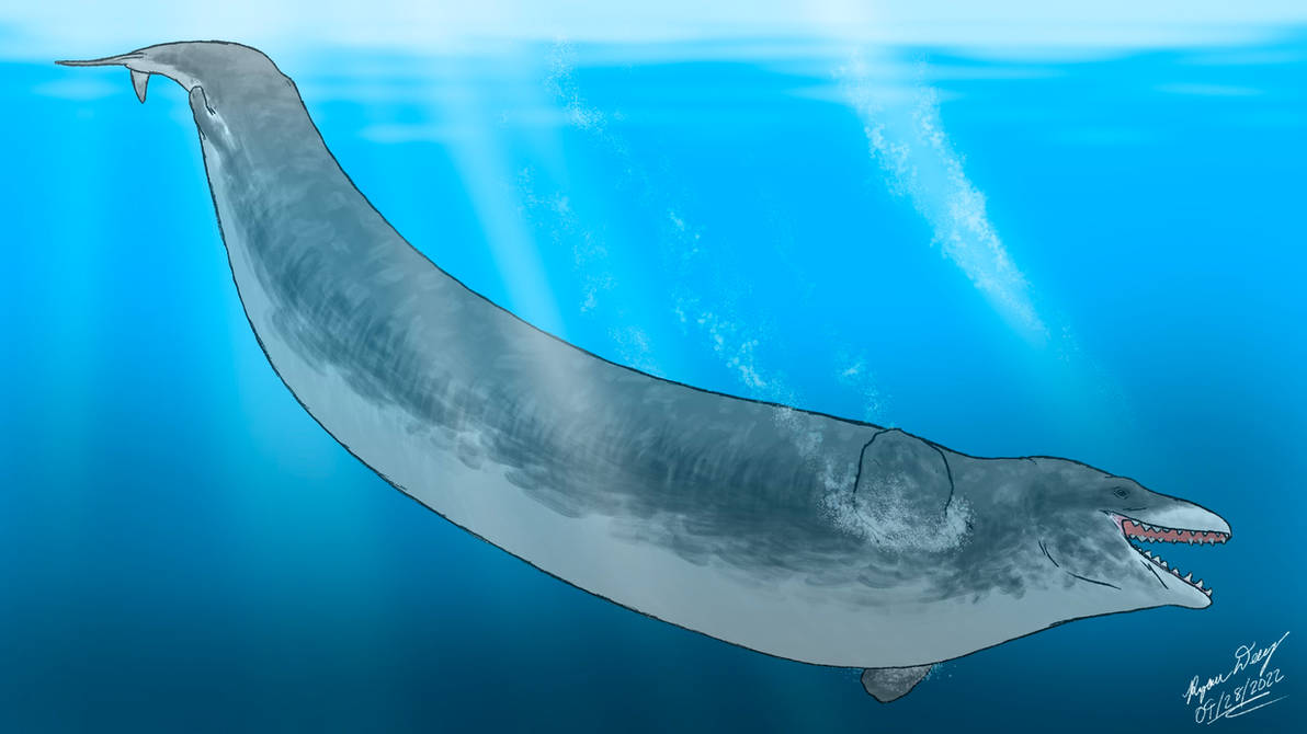 Basilasaruous Basilosaurus On Land at Georgia Jarman blog
