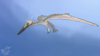 Not-So-Fuzzy Swimming Pterodactylus