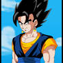 omfg its normal vegetto
