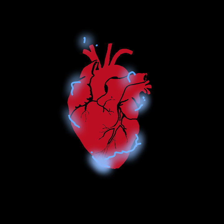 Heart by Weve00 on DeviantArt