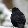 The darkness of winter...