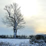 Just silence and snow...