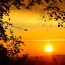 Softly the evening came...
