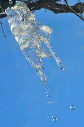 An icicle as it melts...