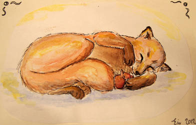 Sleeping Fox and Mouse