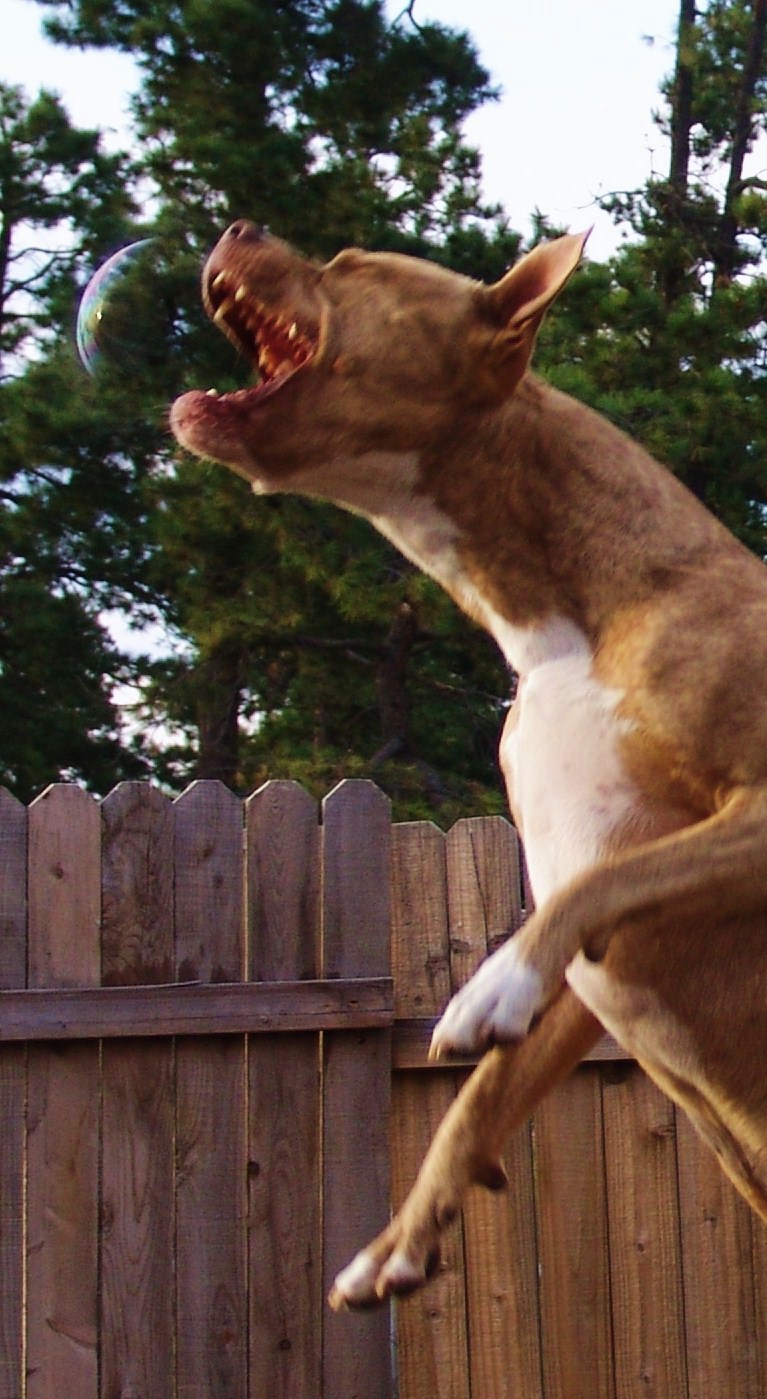 playing with bubbles