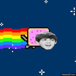 Nyan Paul Cat