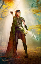 Wood Elf Arcane Archer