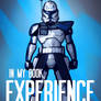 Rex: Experience