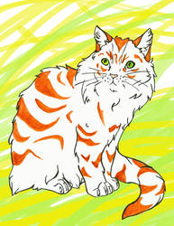 Cat_with_orange_stripes