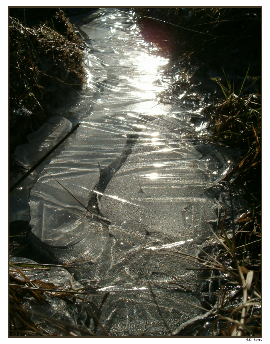 Frozen Stream