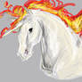 Rapidash doodly thing