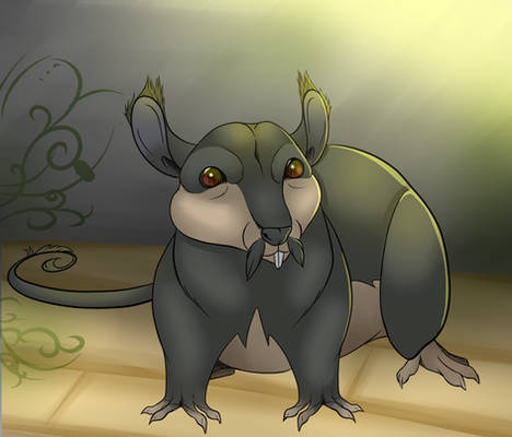 Alolan Rattata