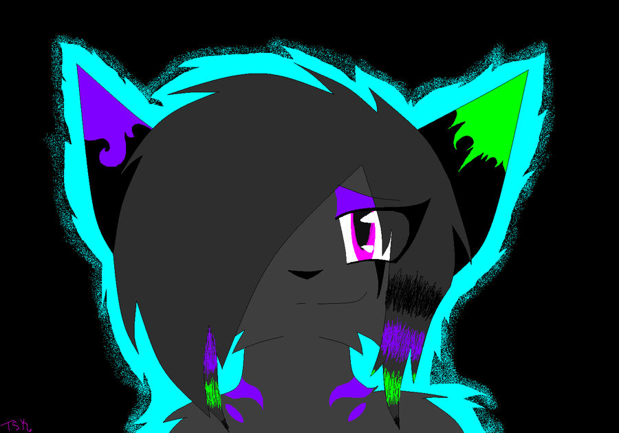 ..:Random Kitty:.. by TorturedSoulKeeper on DeviantArt