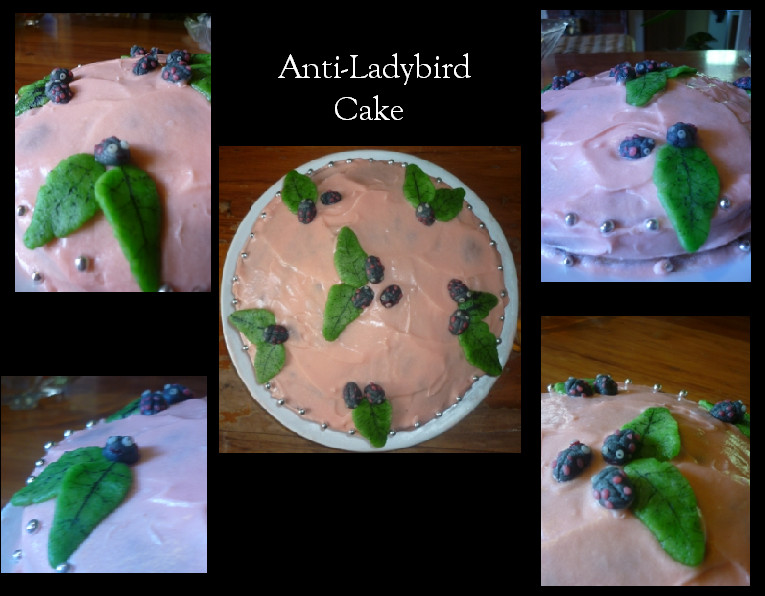 Anti-Ladybird cake