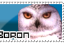 Boron Stamp