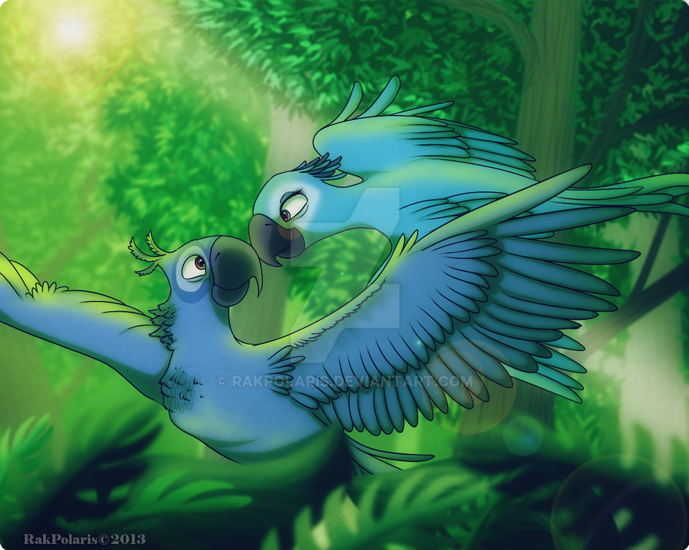RIO Blu And Jewel By RakPolaris On DeviantArt rio-blu-and-jewel-by-rakpolaris-on-deviantart
