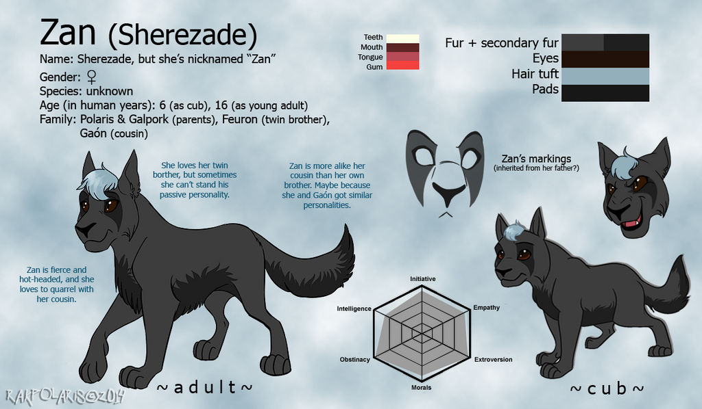 Zan reference sheet 2014