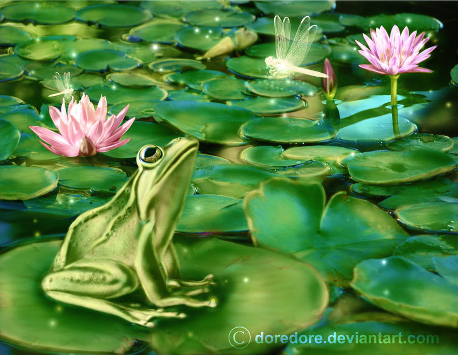 Frog Swamp by doredore Frog Swamp by doredore