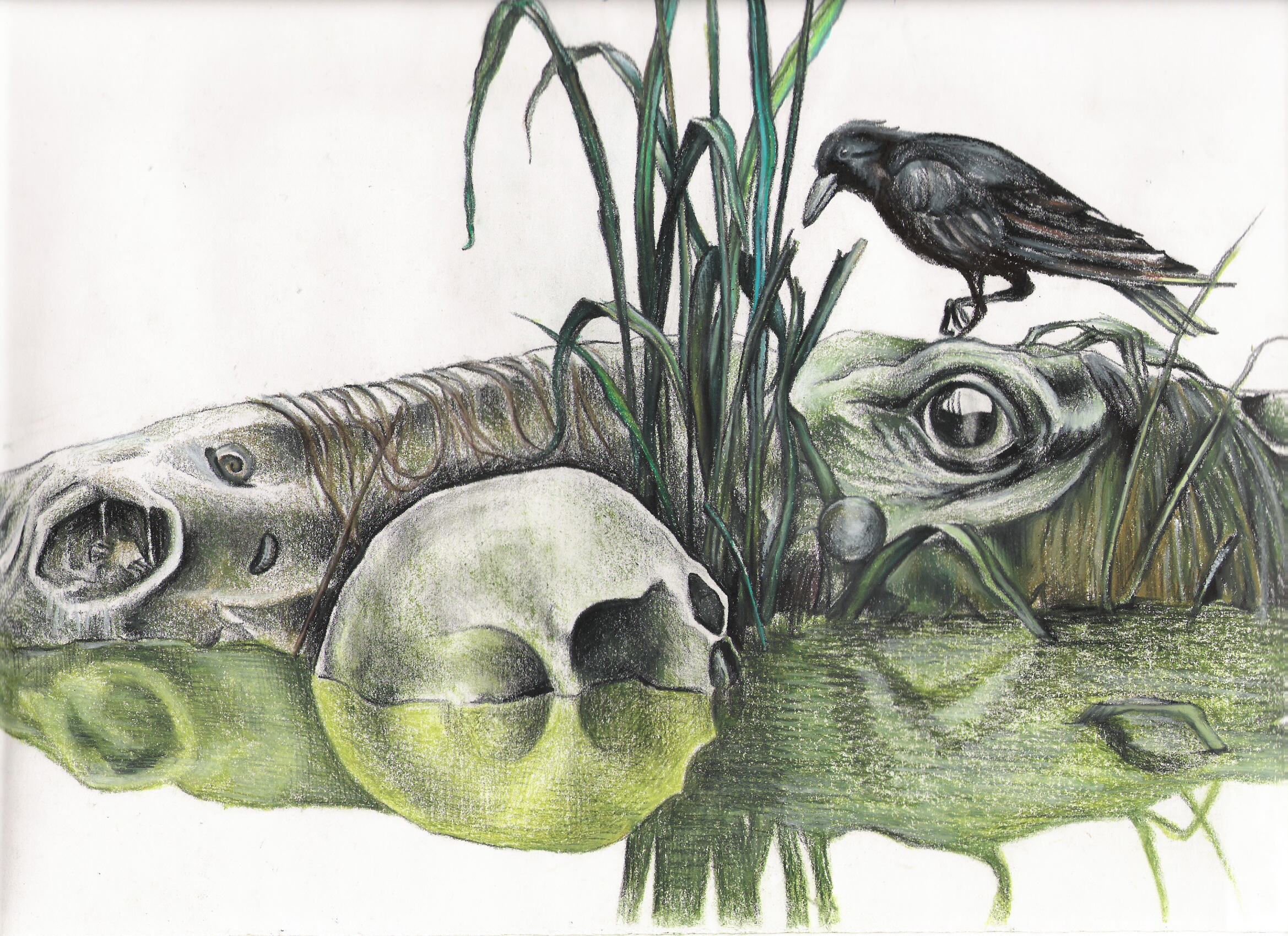 Horse and Raven and Skull by 3Tallulah