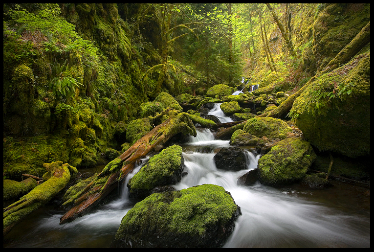 Moss Canyon